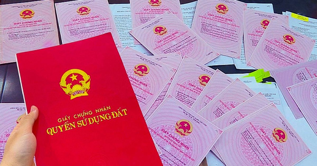 mẫu đơn ngăn chặn giao dịch đất