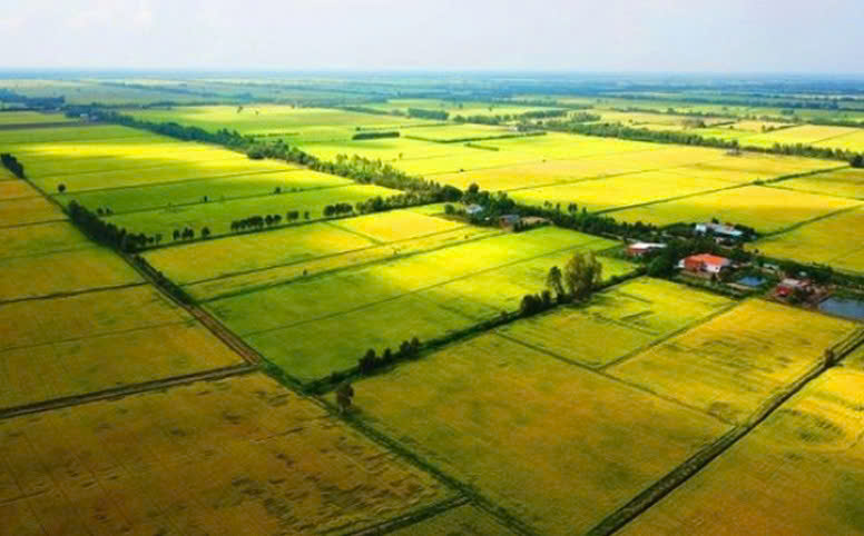 gỡ bỏ ngăn chặn giao dịch đất