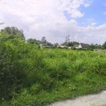 đất bỏ hoang -05