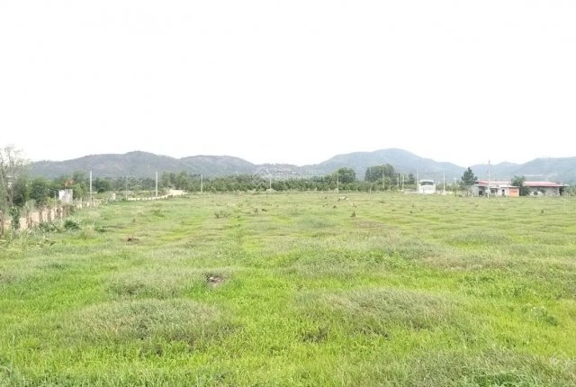 trình tự ngăn chặn giao dịch đất