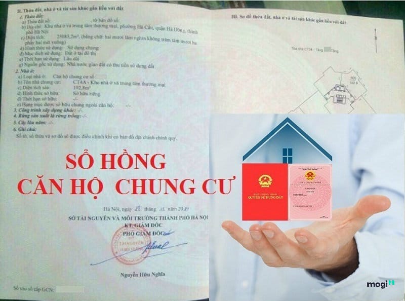 sổ hồng 50 năm và lâu dài